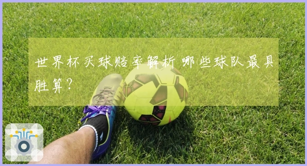 世界杯买球赔率解析 哪些球队最具胜算？