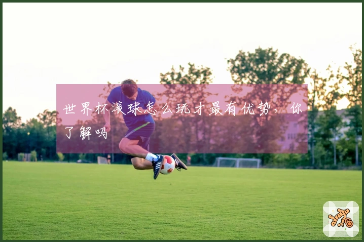 世界杯滚球怎么玩才最有优势，你了解吗