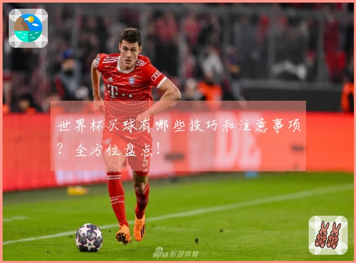 世界杯买球有哪些技巧和注意事项？全方位盘点！