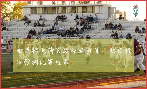 世界杯竞猜实战经验分享，助你精准预测比赛结果